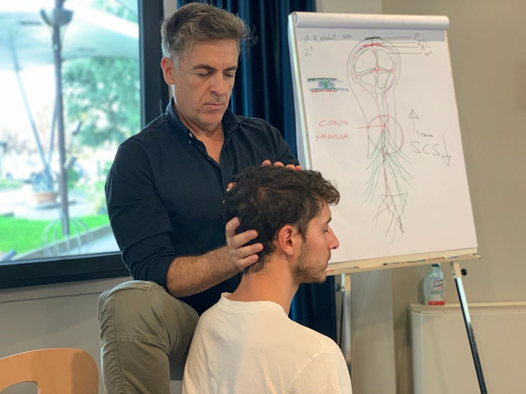 enfoque_meningeo_formacion_virtual_img_1